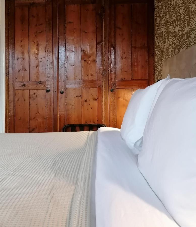B&B De Stadssingel Steenwijk Zewnętrze zdjęcie