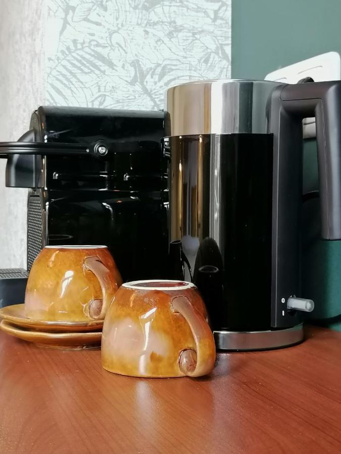 B&B De Stadssingel Steenwijk Zewnętrze zdjęcie